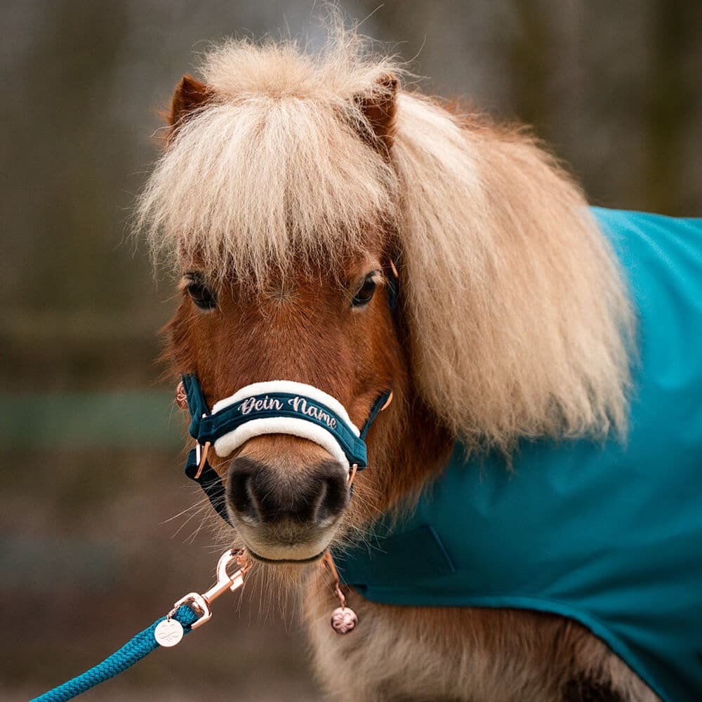 Shettyhalfter Velvet mit Rosegold, Silber oder Gold - Farbe nach Wahl – Bild 2