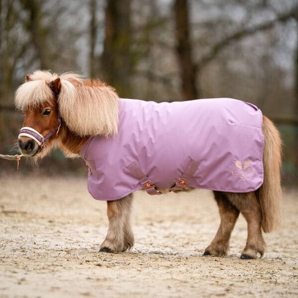 Alternative view of Shetty Regen- und Outdoordecke Flieder