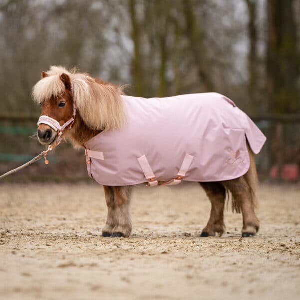 Alternative view of Shetty Regen- und Outdoordecke Rose