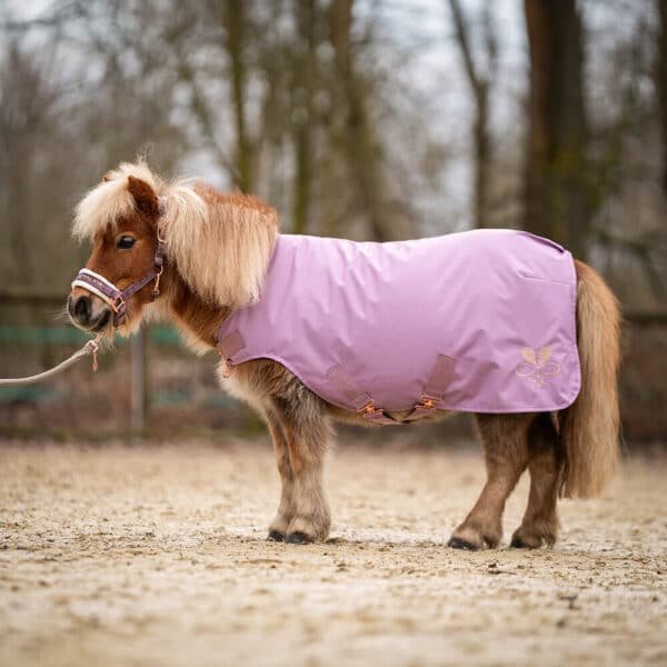 Alternative view of Shetty Walkerdecke wasserdicht Flieder