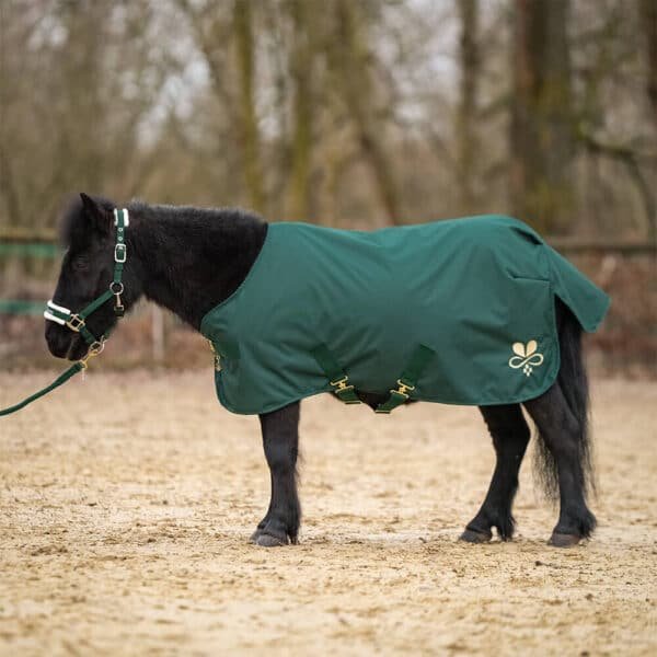 Alternative view of Shetty Regen- und Outdoordecke Tannengrün