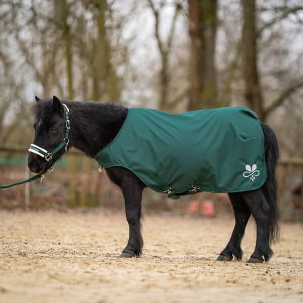 Alternative view of Shetty Walkerdecke wasserdicht Tannengrün