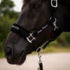 Halfter Velvet in Schwarz mit schwarzem Fell mit silbernen Beschlägen made in Germany mit Möglichkeit zur Personalisierung mit Stickerei mit eigenem Namen an schwarzem Pferd Detailaufnahme