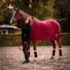 Abschwitzdecke Pferd Bordeaux Rosegold und Halfter Bordeaux mit Bestickung Name made in Germany