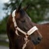 Halfter Velvet in Beige mit rosegoldenen Beschlägen made in Germany mit Möglichkeit zur Personalisierung mit Stickerei mit eigenem Namen an braunem Pferd