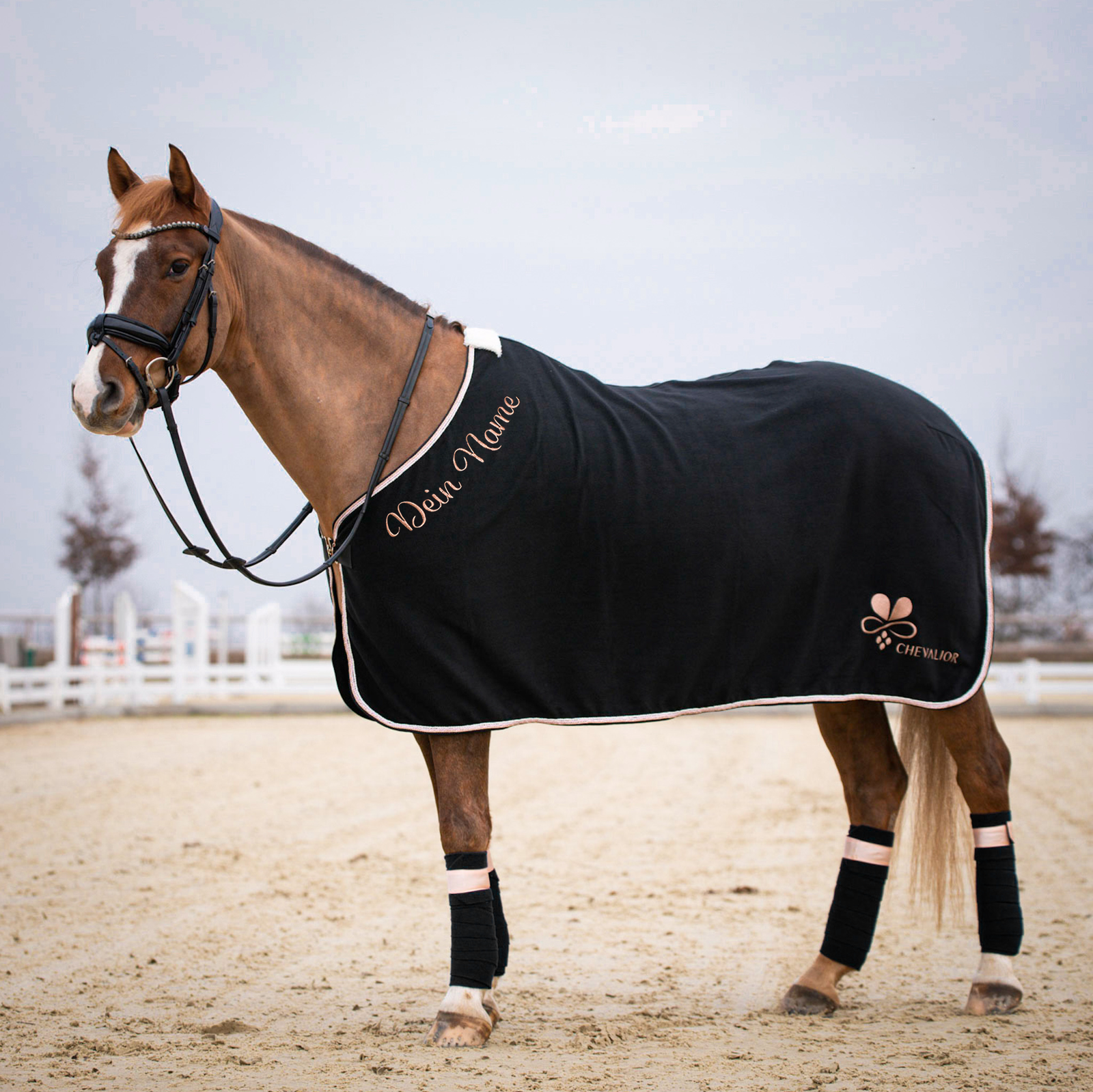 Bestickungsbeispiel_Decke_am_Hals