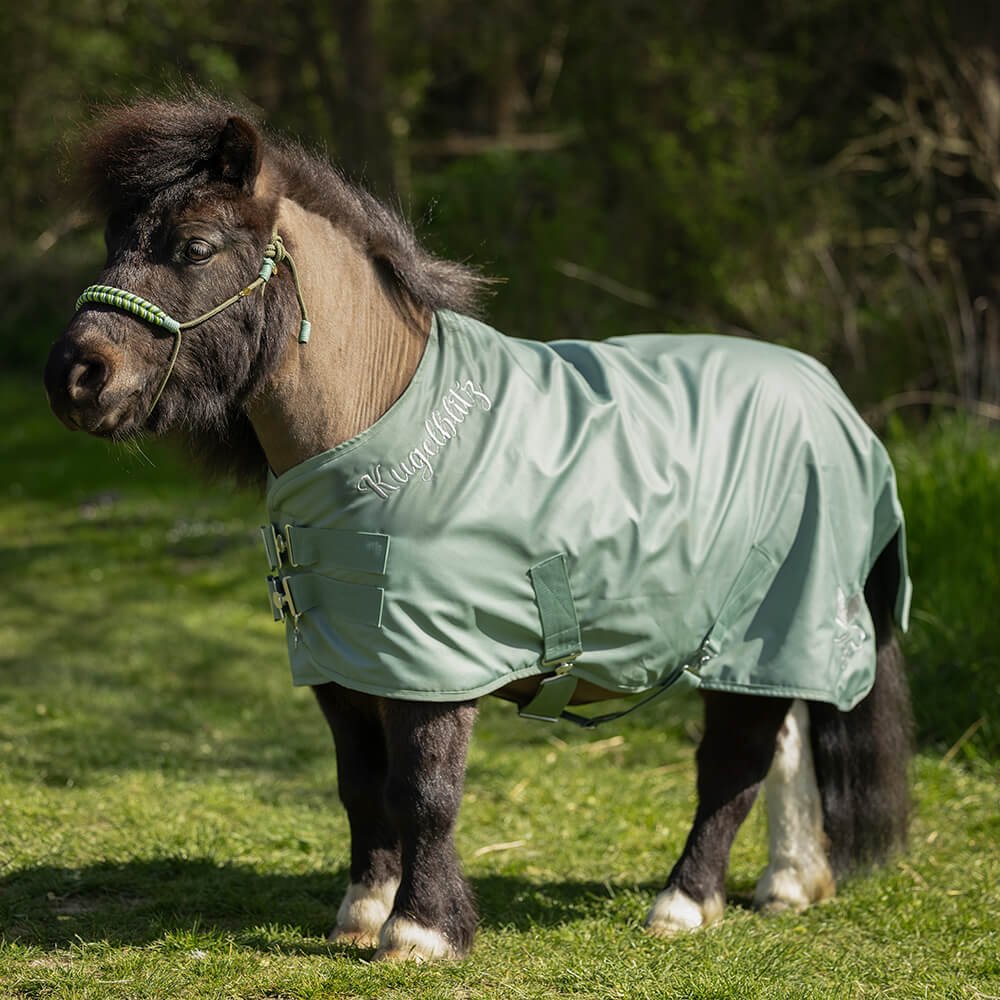 Chevalior_Shetty_Outdoordecke_Jadegrün_Silber