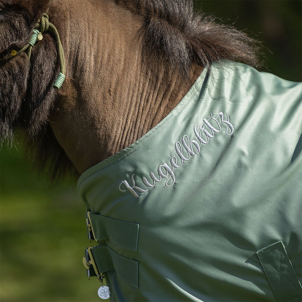 _DetailChevalior_Shetty_Outdoordecke_Jadegrün_Silber_Bestickung