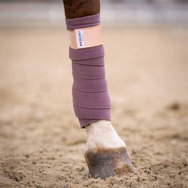 Alternative view of Bandagen Flieder Rosegold