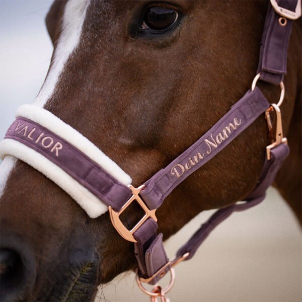 Alternative view of Halfter Velvet Flieder Rosegold