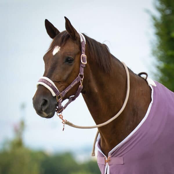 Alternative view of Halfter Velvet Flieder Rosegold