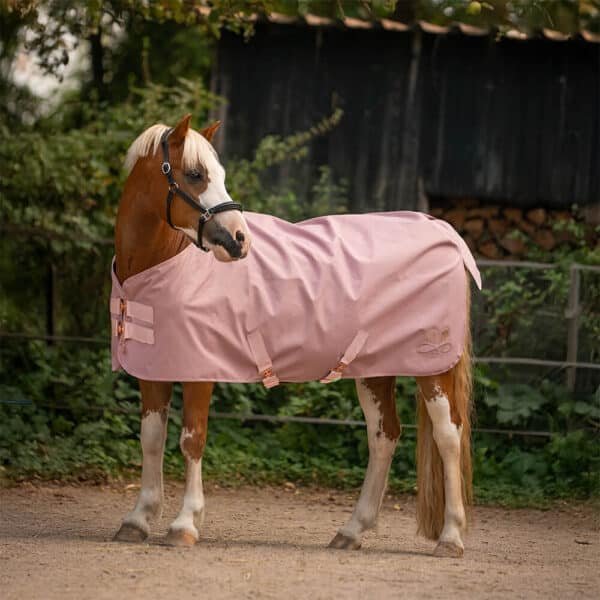 Alternative view of Shetty Regen- und Outdoordecke Rose