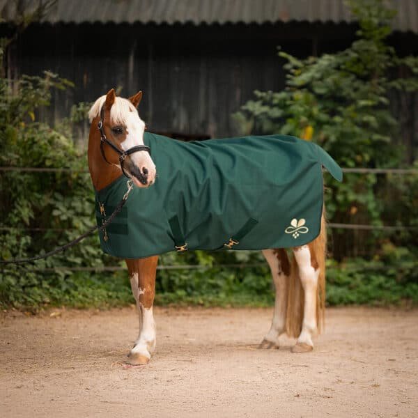 Alternative view of Shetty Regen- und Outdoordecke Tannengrün