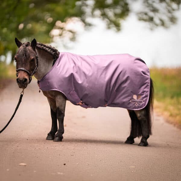 Alternative view of Shetty Walkerdecke wasserdicht Flieder