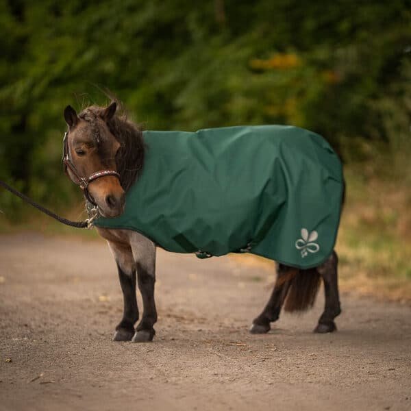 Alternative view of Shetty Walkerdecke wasserdicht Tannengrün