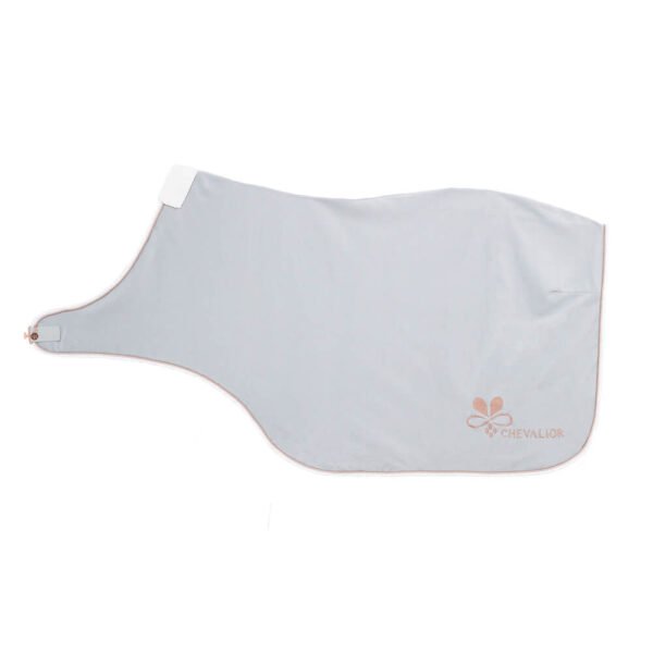 Führanlagendecke Platingrau Rosegold