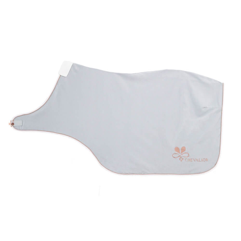 Führanlagendecke Platingrau Rosegold