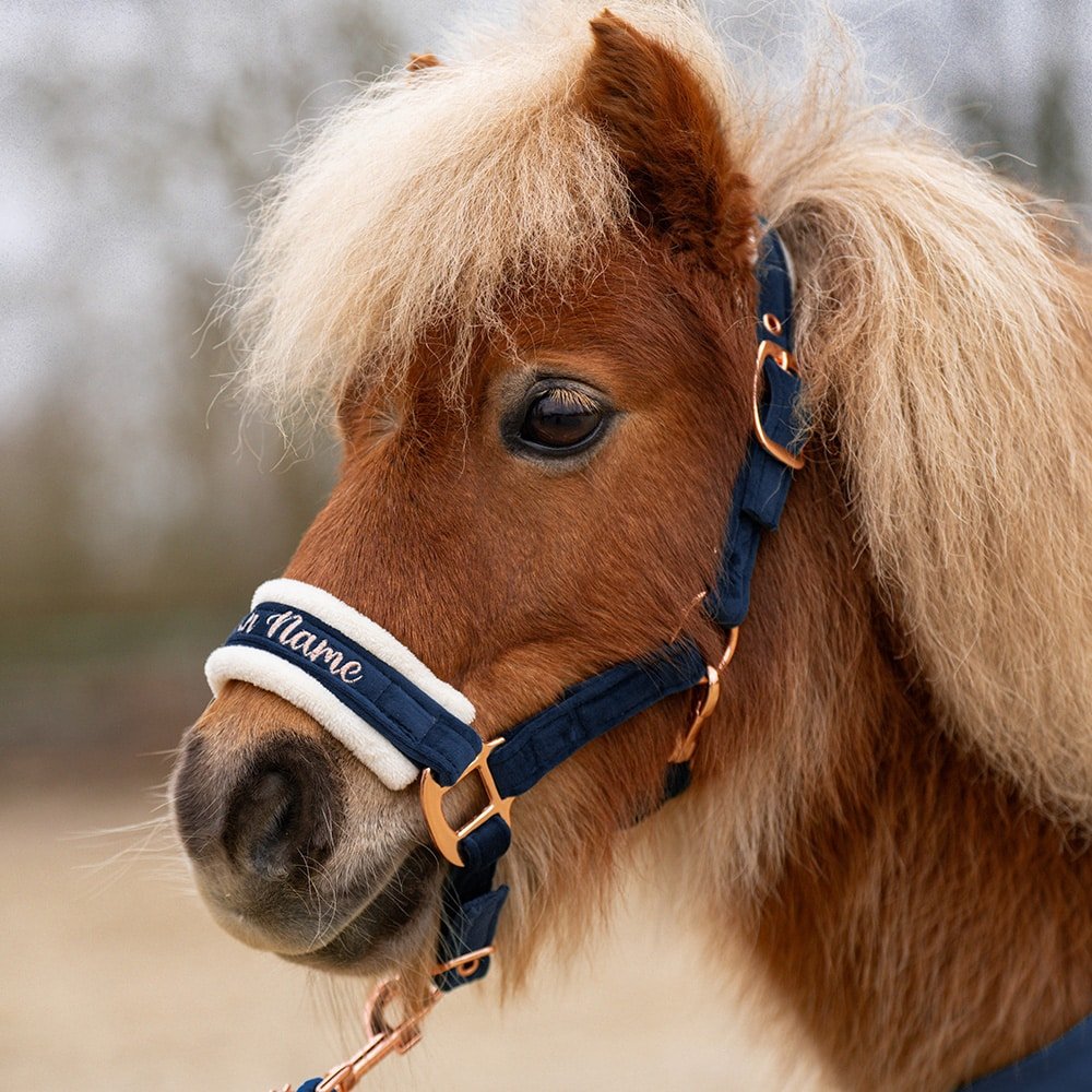 Shettyhalfter Velvet mit Rosegold, Silber oder Gold - Farbe nach Wahl – Bild 6