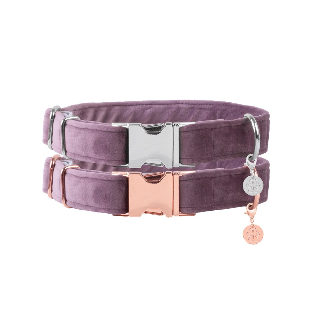 Hundehalsband Velvet Flieder