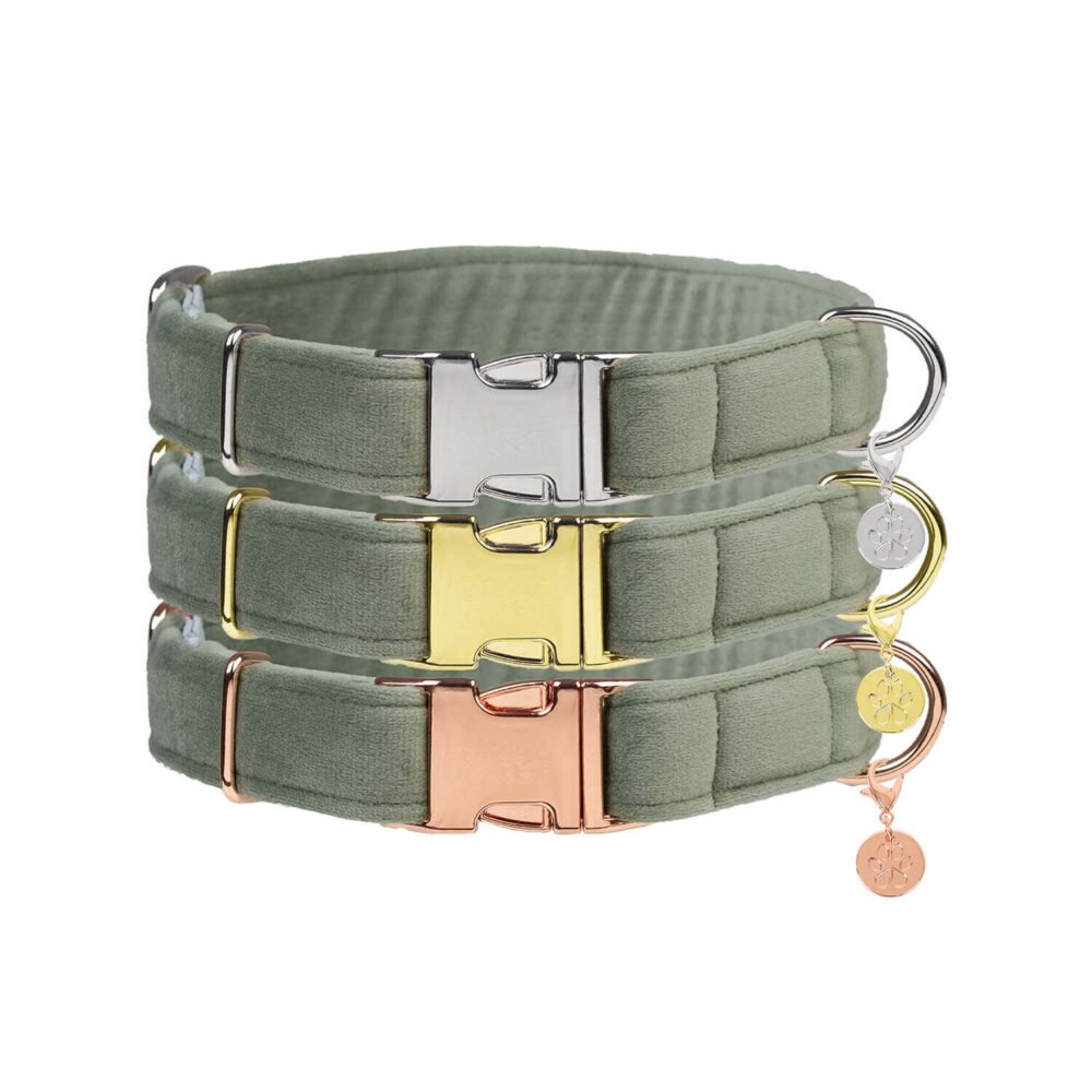 Hundehalsband Velvet Salbei