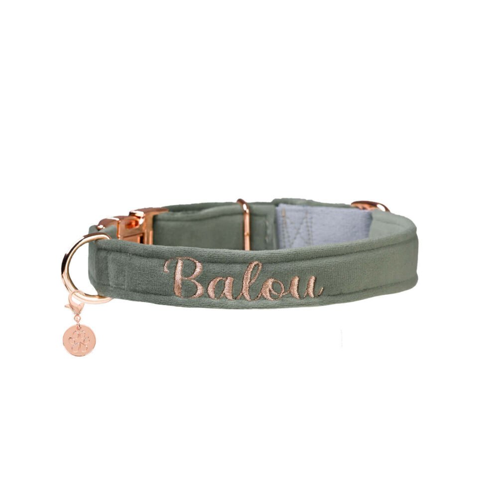 Alternative view of Hundehalsband Velvet Salbei