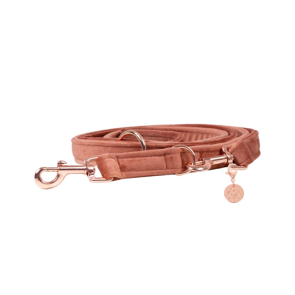 Hundeleine Velvet Sanddorn
