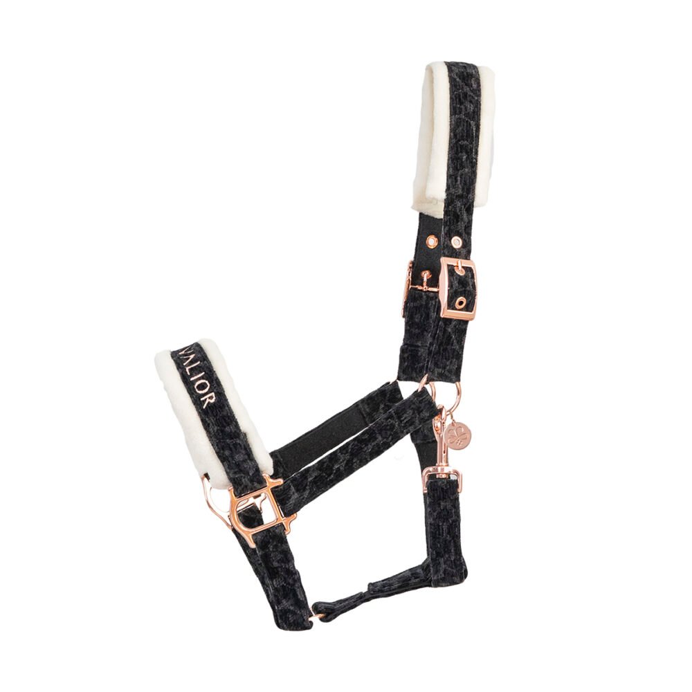 Halfter Leo Schwarz mit Rosegold oder Silber
