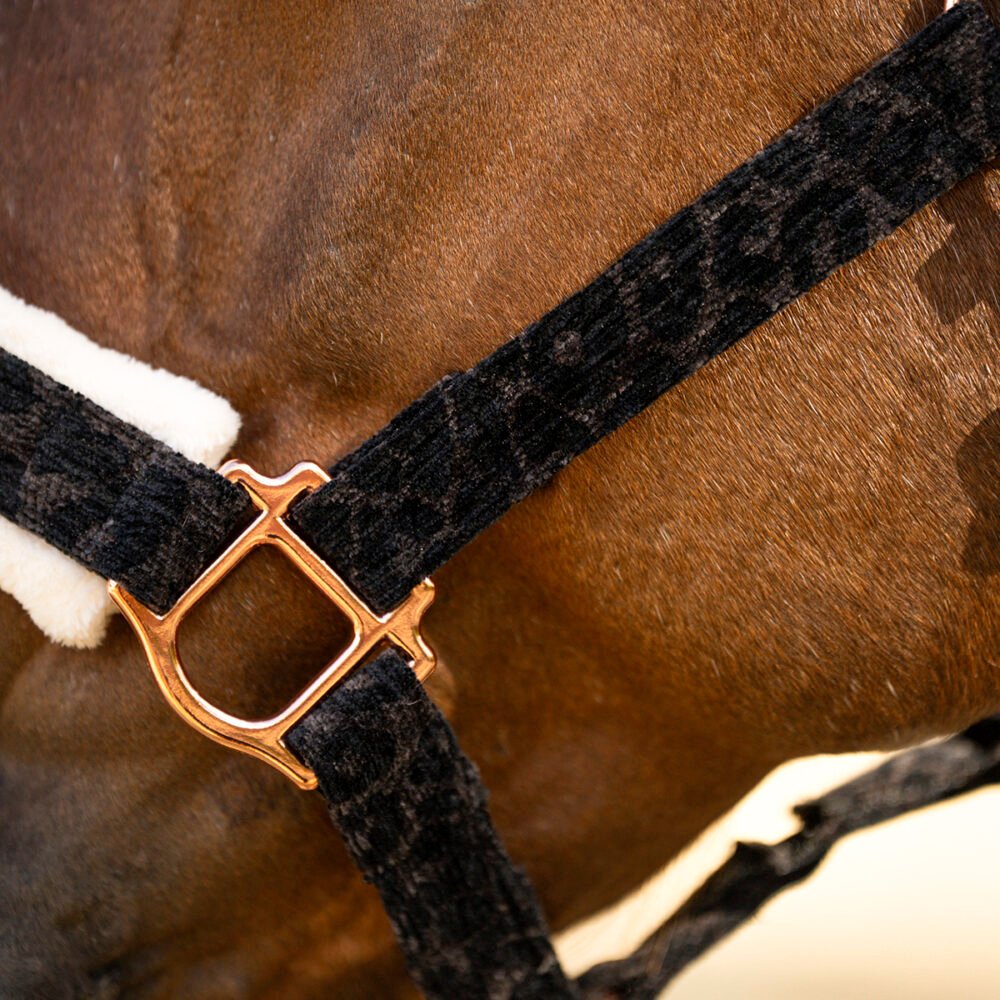 Alternative view of Halfter Leo Schwarz mit Rosegold oder Silber