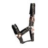 Halfter Leo Classic mit Rosegold oder Silber