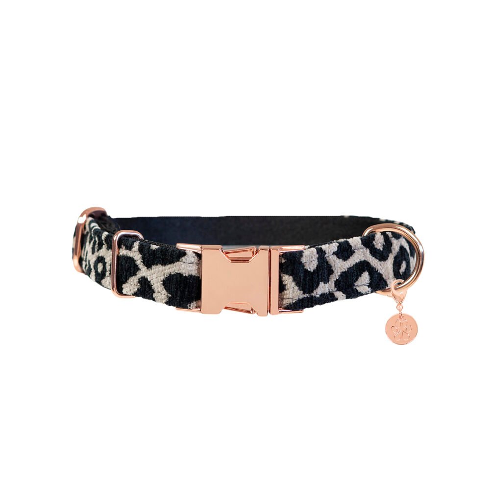 Hundehalsband Leo Classic