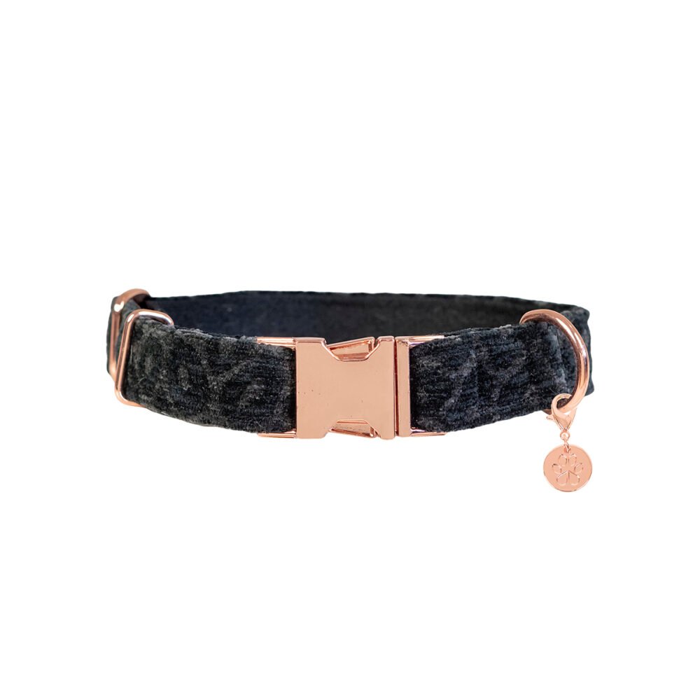Hundehalsband Leo Schwarz