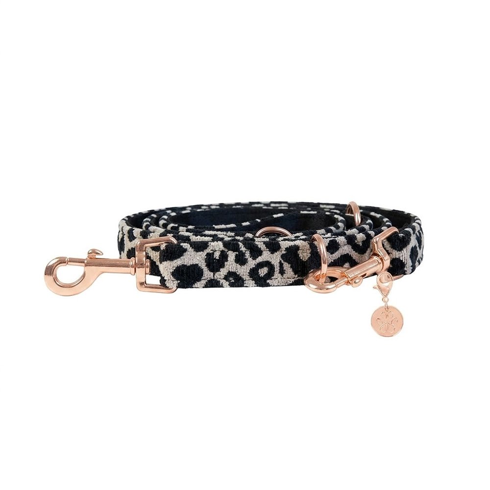 Hundeleine Leo Classic